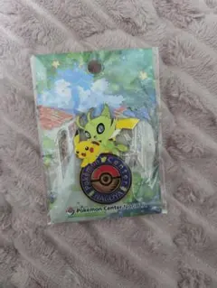 ポケモンセンター　名古屋限定　ピンバッジ