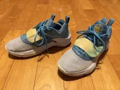 상태좋음 人気 NIKE ZOOM FREAK3 ヤニス・アデトクンボ 26.5cm