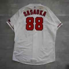 Item thumbnail for item d7446983-90b9-4d5f-8528-3fb8f8ce5c2f