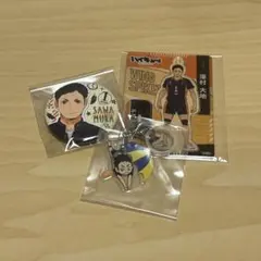 ハイキュー!! ミニアクリルスタンド 缶バッジ アンブレラチャーム 澤村大地