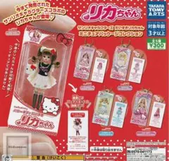 サンリオキャラクターズ だいすきリカちゃん ミニチュアパッケージコレクション