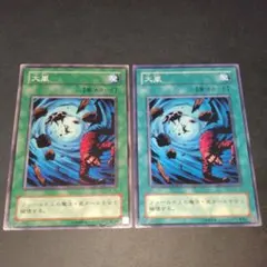 人面モルモットの逆襲様 リクエスト 3点 まとめ商品