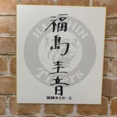 ⭐︎阪神タイガース⭐︎ 福島圭音 選手 直筆サイン色紙 貴重！ 支配下登録