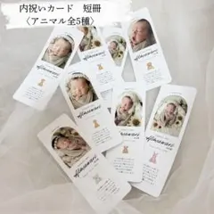 Item thumbnail for item 509aa0a1-8726-423a-9991-a887d139c172