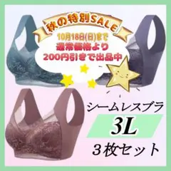 シームレスブラ ノンワイヤー 大きい ナイトブラ 着痩せ 美胸 まとめ売り 下着
