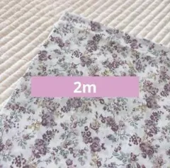 セール❗️リバティ　ムーンモス　12L 2m