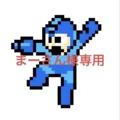 まーさん様専用