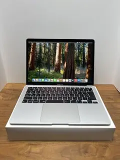 訳あり美品❗️MacBook Air 2020 M1チップ 16GB シルバー