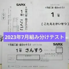 SAPIX 3年生 7月度 入室 組分け テスト 2023 2023年 サピックス 3年生 7月度入室組分けテスト 小3 SAPIX - メルカリ