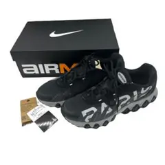 PSG × Nike Air Max DN8 エアマックス　30cm 美品