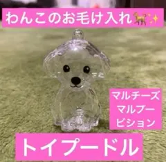 うちの子けだまだま　犬　柴犬　シバイヌ　ポメ　ビション　マルチーズ トイプードル