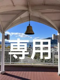 専用出品です。