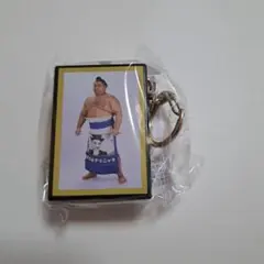 Item thumbnail for item 5a5faf73-1b44-4969-b3d1-7705f0ae977b