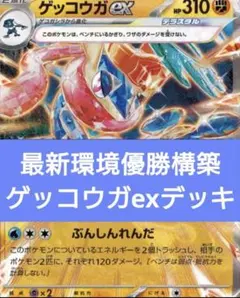 大樹ゲッコウガデッキ　構築済み　ボムゲッコウガ　　ピジョットゲッコウガ