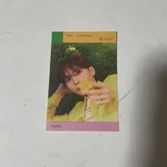 SEVENTEEN SECTOR 17 Sanghoon スングァン ステッカー