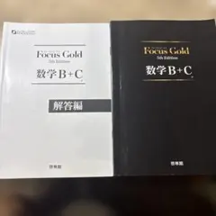 Focus Gold 数学B+C 5th Edition