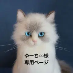 ゆーち♾️様の専用ページ
