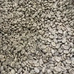 ケニア AA TOP ダハブ フラミンゴ スペシャルティコーヒー 生豆 1kgのサムネイル