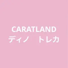 カラットランド　CARAT LAND 2024 ケレン　DINO ディノ　トレカ