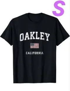 Item thumbnail for item 8ecb1f72-31c3-47db-8b7e-124e3d0ea0a8