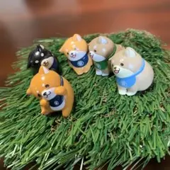 柴犬 ミニチュアフィギュア 5体セット 人工芝付き