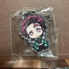 鬼滅の刃 竈門炭治郎 ここみえ アクリルフィギュア