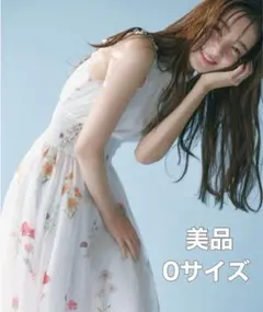 Item thumbnail for item 640d8664-691c-4331-97b9-fed454c265fa