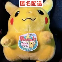 ポケットモンスター ポケモン30周年記念 おかえり！ピカチュウ1/1