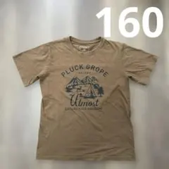 IGNIO イグニオ キャンプ　半袖　Tシャツ　160 ブラウンのサムネイル
