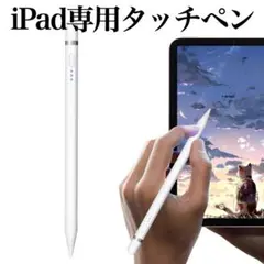 タッチペン iPadペン スタイラスペン 急速充電 自動電源オフ 2018年以降
