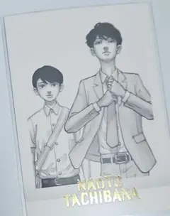 橘直人 ぱしゃこれ