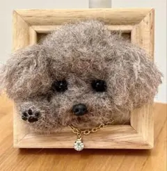 羊毛フェルト ミックス犬 マルプー 犬 マルチーズ プードル - メルカリ