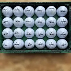 ぶっ飛びほんま　ほんまです　ホンマの白24個の出品ですのサムネイル