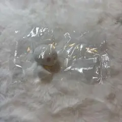 コジコジ　カプセルフロッキーズ　テル子