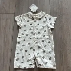 Item thumbnail for item 8490758f-97d2-4261-b271-a25b46cbebc1