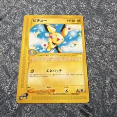ポケモンカード ピチュー プロモ JRハッピーアドベンチャーラリー 処分