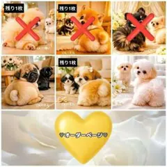 【オーダーページ】♡犬 わんちゃん パネル生地♡