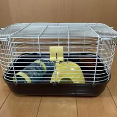 Item thumbnail for item dd37d9cb-e368-4a30-a9a8-eefe464fe012