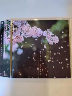 Item thumbnail for item 05823a76-6444-472a-91b2-40c56cdf6b20