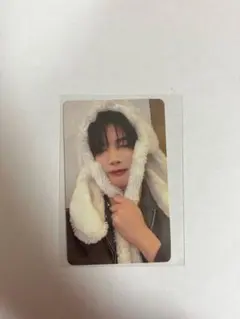 &TEAM andteam 雪明かり　JO アニマルトレカ