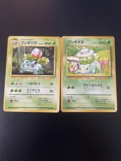 フシギソウ フシギダネ ♡ ポケモンカード 旧裏