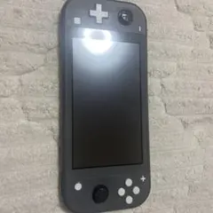 Nintendo Switch Lite ディアルガ・パルキア 本体ジャンク - メルカリ
