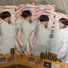 meiji galbo クリアファイル 中島健人 菊池風磨