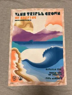 VANS TRIPL CROWN OF SURFING Tシャツ　メンズ　L