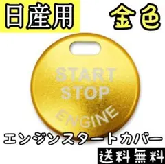 Item thumbnail for item 91ca24fd-965e-4b94-b470-a915de4da663