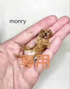 モールアート☆ミニダックススムース☆へそてん