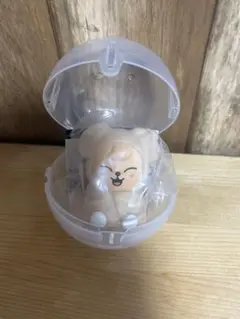 StrayKids SKZOOスキズガチャラ イトマスコット　即購入可能