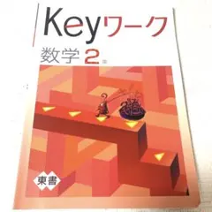7111様 リクエスト 2点 まとめ商品