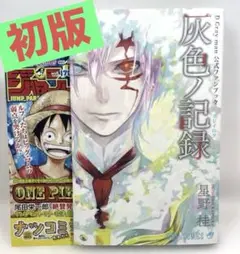 【初版/冊子付】D.Gray-man 公式ファンブック 灰色ノ記録