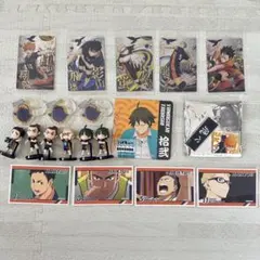 【ハイキュー‼︎】烏野高校 セット